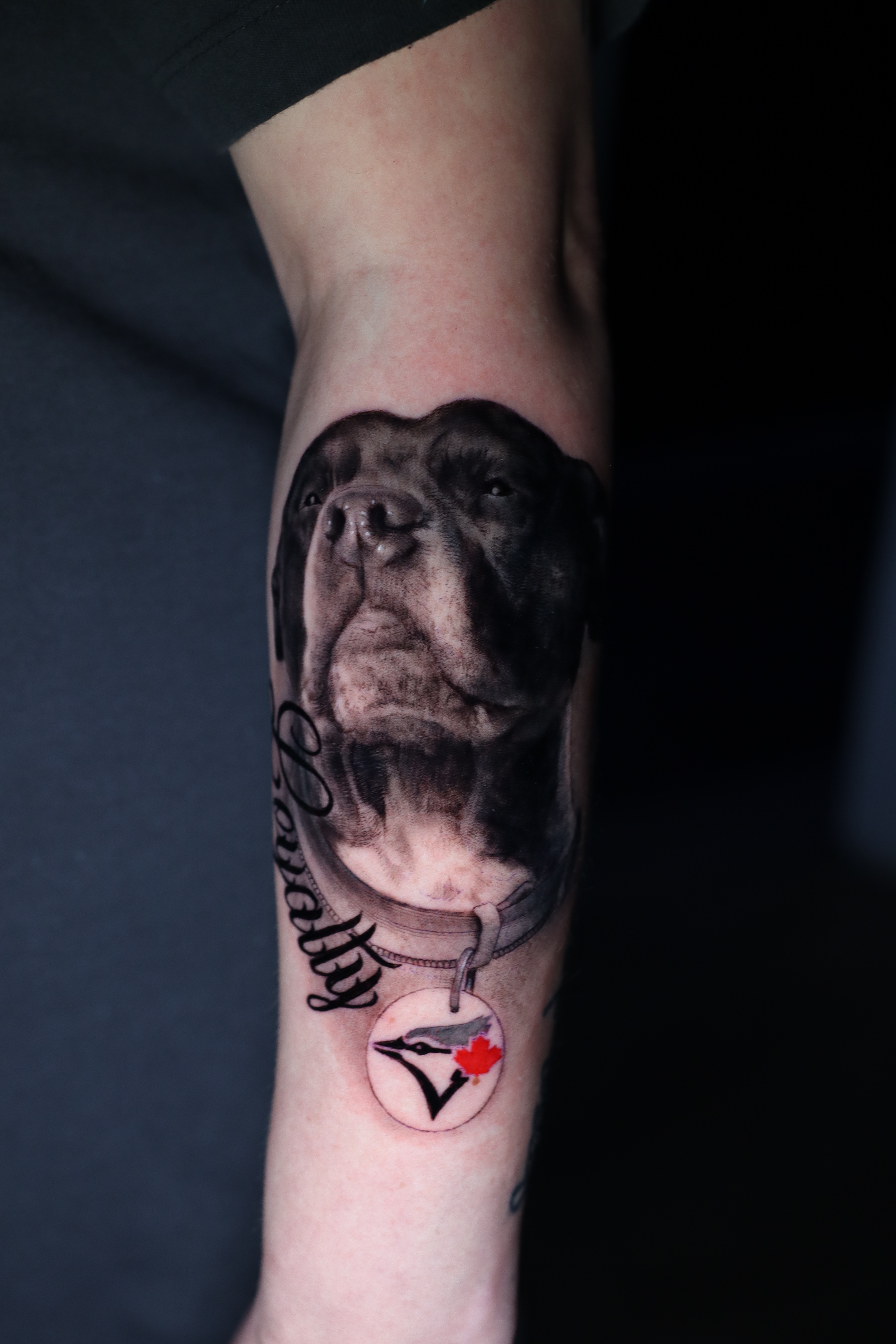 Dog & Blue Jay Arm Piece
