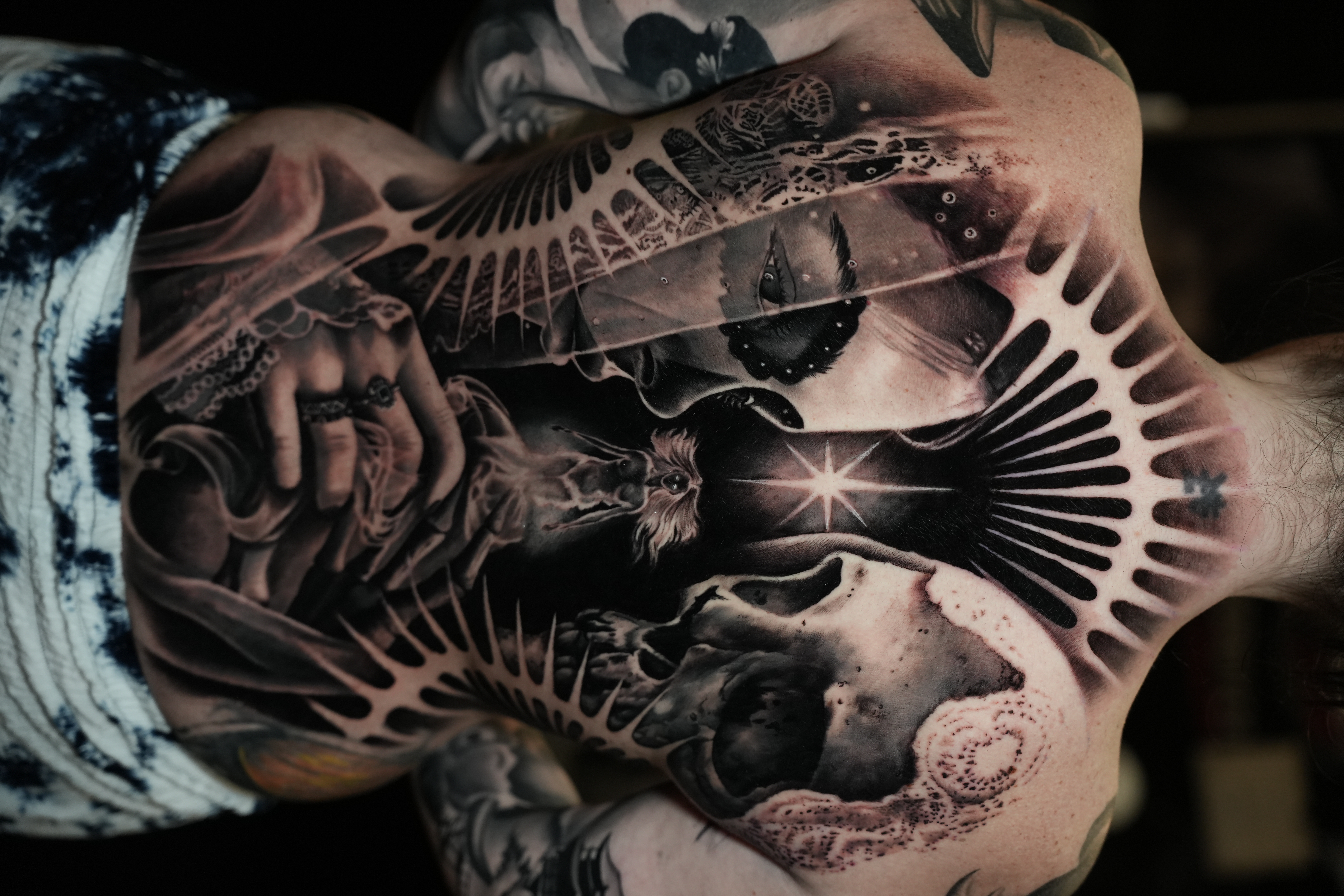 Torso & Sleeve Composition